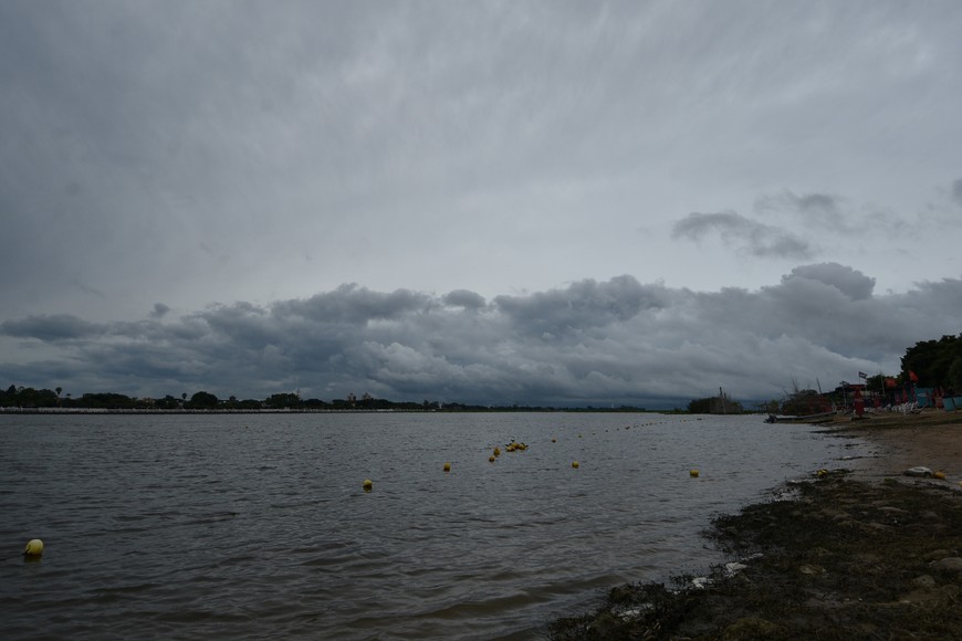 Imagen ilustrativa. Crédito: Manuel Fabatía