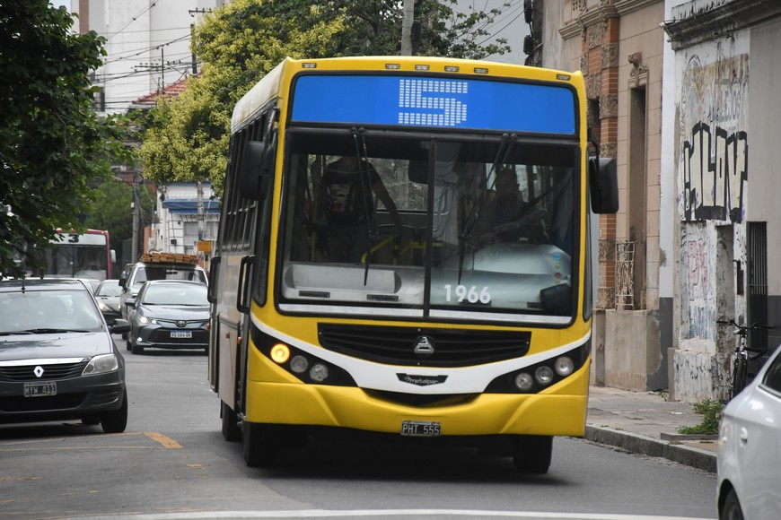 Imagen ilustrativa. Crédito: Flavio Raina