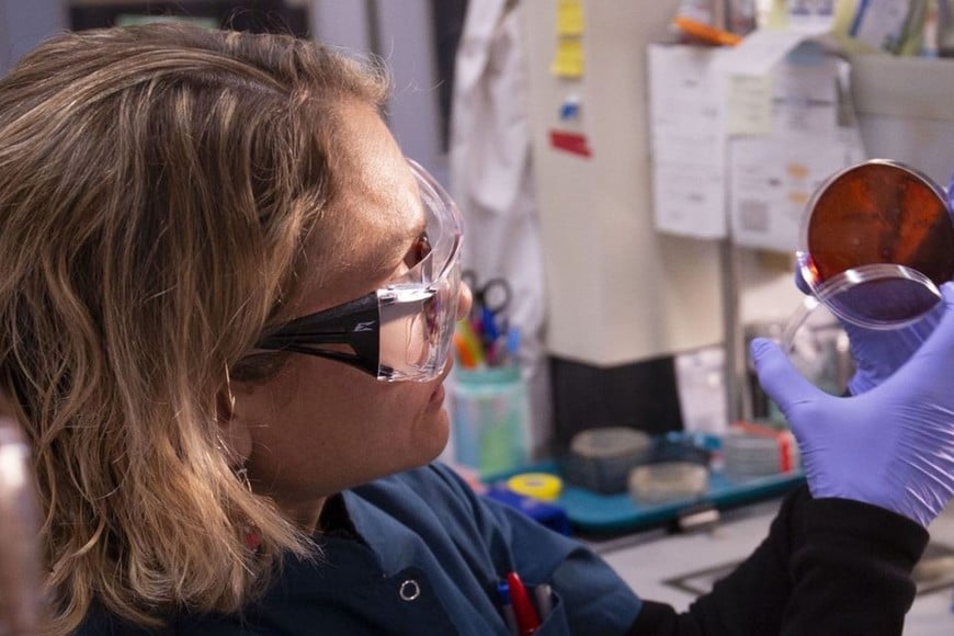 En Argentina, se considera enfermedad poco frecuente a aquella que afecta a una persona o menos cada 2000, según la Organización Mundial de la Salud. Foto: Archivo El Litoral