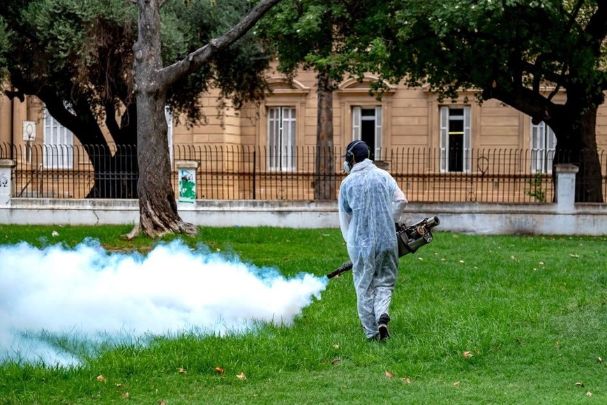 La variante culex tiene características diferentes al aedes, transmisor del dengue, el cual se cría en el ámbito domiciliario. El culex se cría en zanjas y lugares abandonados; coloca sus huevos en el agua y si está estancada se puede reproducir en abundancia.