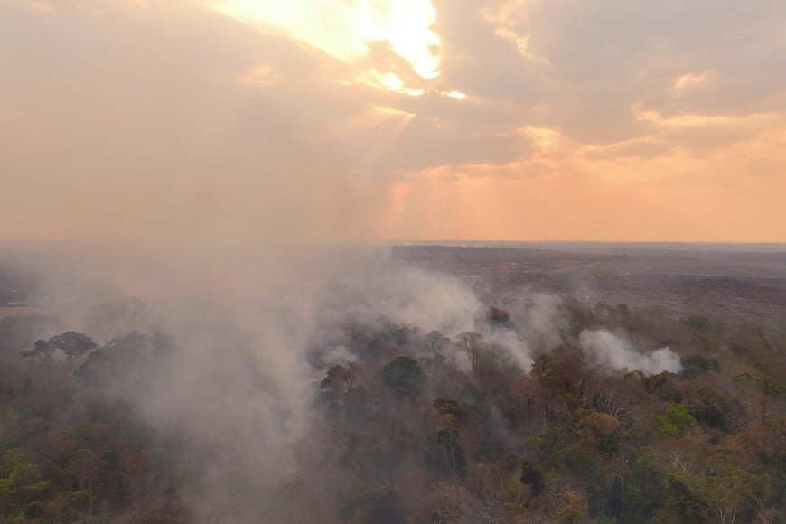 A drone view of smoke from burning vegetation rises in a rainforest at the municipality of Bonfim, state of Roraima, Brazil February 28, 2024. REUTERS/Bruno Kelly