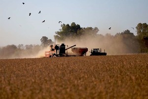 El informe no es una buena noticia para la administración nacional.