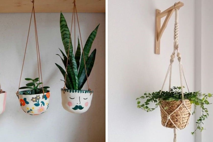 5 Ideas Para Embellecer Tus Paredes Con Plantas Colgantes