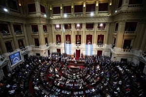 La Cámara de Diputados tiene en sus manos dos iniciativas importantes del gobierno de Javier Milei: la reforma fiscal y la ley Bases. Foto: REUTERS / Agustin Marcarian.