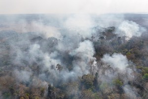 El humo de la quema de vegetación se eleva en una selva tropical en el municipio de Bonfim, estado de Roraima, Brasil. Crédito: REUTERS.