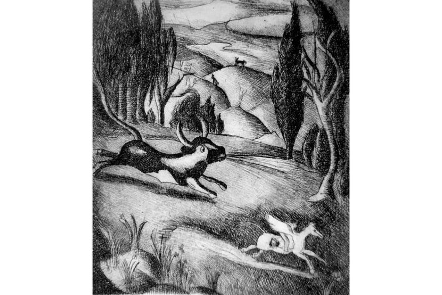 Archivo Iván Rosado