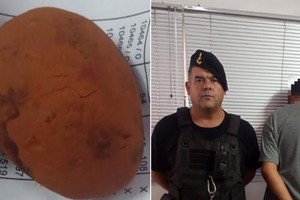 El "Oro bovino", como se conoce a estas piedras. El detenido es un empleado de un frigorífico donde este tipo de incidentes son comunes. Crédito: El Litoral.