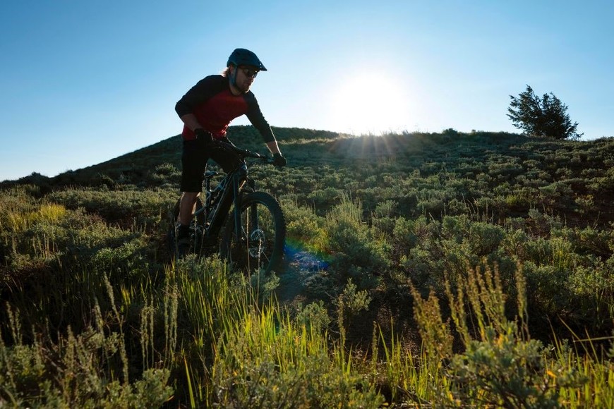 Es fundamental encontrar formas de integrar la naturaleza en nuestra vida diaria.