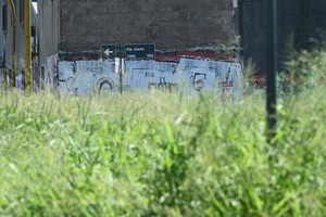 Yuyos  alto en Guadalupe