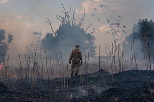 Soportar no debe ser nunca un pretexto para permitir que la maldad prolifere en nuestras sociedades.