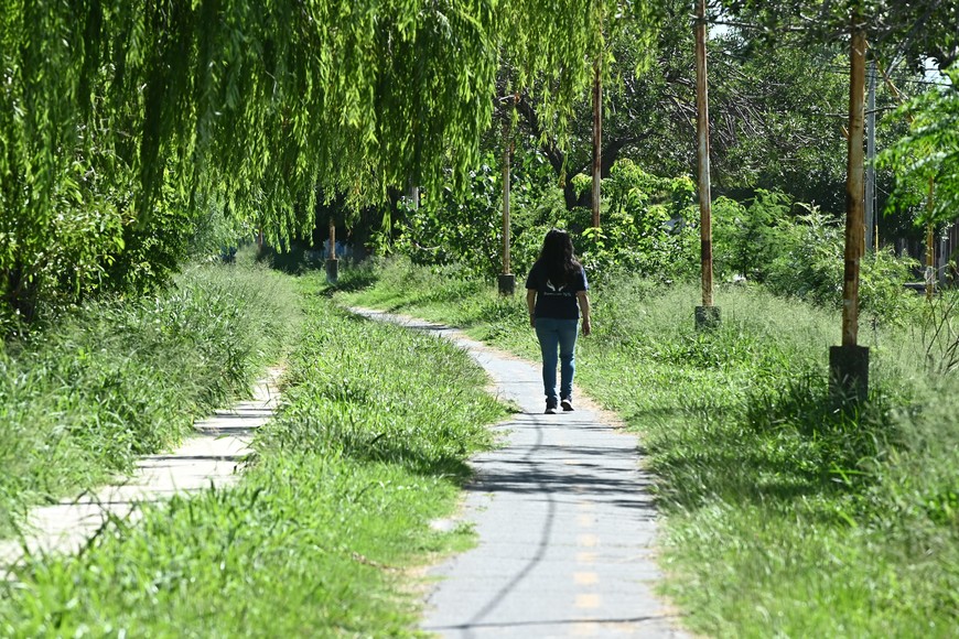 Los yuyos invaden en barrio Guadalupe