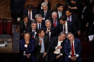 Los gobernadores que asistieron al discurso del presidente Milei al inaugurar el 142º período ordinario de sesiones del Congreso. Foto: Xinhua / Martín Zabala.