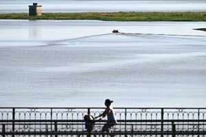 La laguna Setúbal cambia al ritmo de las crecidas y bajantes del río Paraná. De fondo, el embalsado que espera ser retirado. Foto: Mauricio Garín