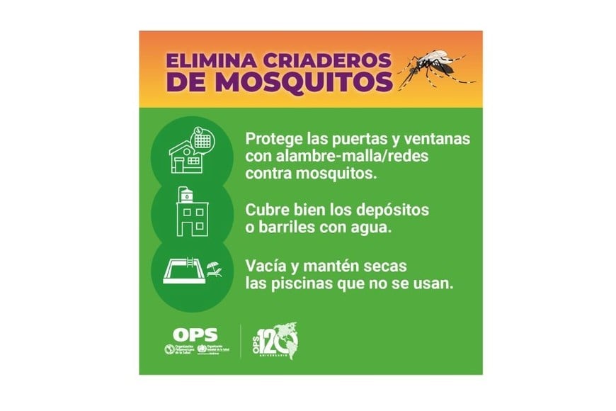 Eliminar los criaderos de mosquitos