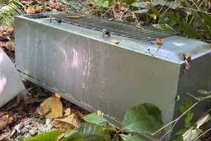 La hija de la mujer confesó que ella y su novio la golpearon en la cabeza hasta que se desmayara.