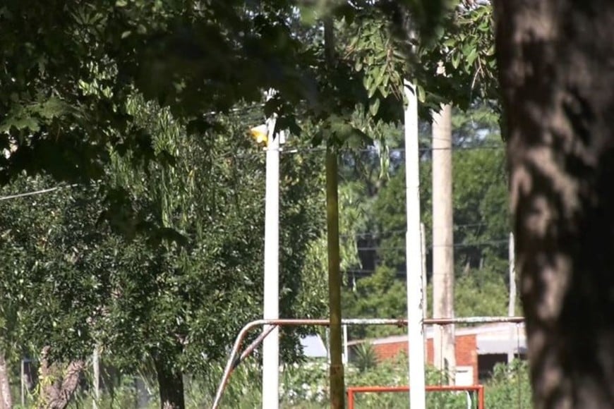 La escasa iluminación en el barrio solo está activa durante el día, dejando la zona en completa oscuridad durante la noche.