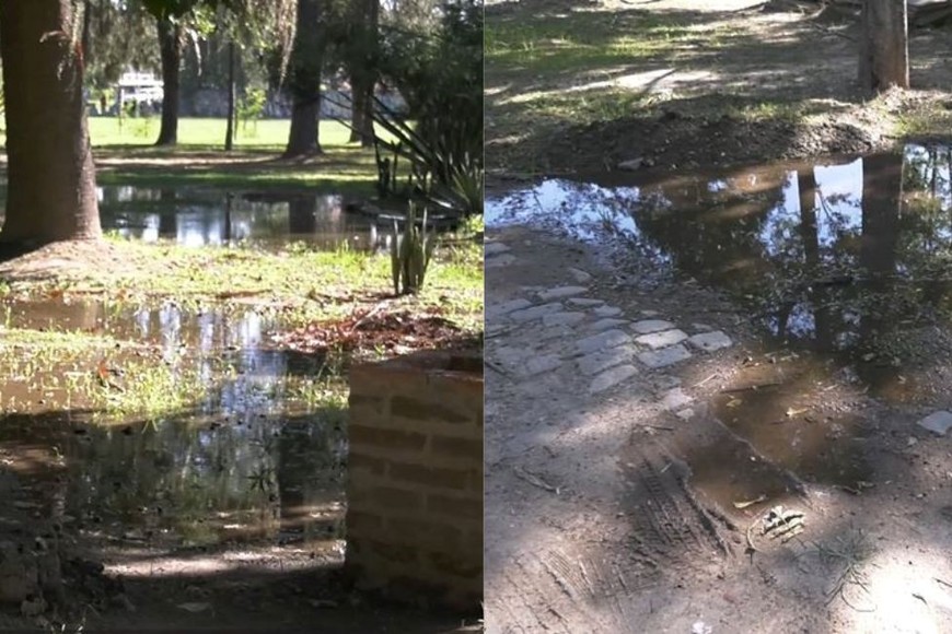 La fuga del caño de agua dentro del Jardín Botánico representa una gran pérdida del recurso y dificulta el acceso a varias partes del área verde.