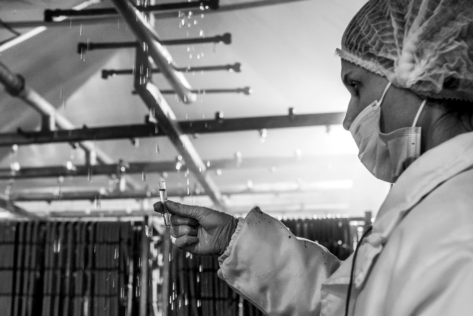 Mujeres en la industria santafesina.