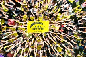 La Comisión Directiva de la ASOEM decidió realizar un paro de 24 horas en su jurisdicción sindical para conmemorar la efeméride internacional.
