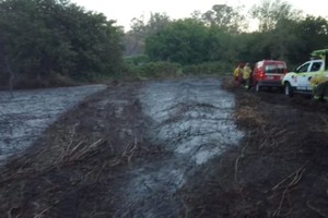 Este domingo por la tarde se inició un incendio forestal en la Laguna de los Padres.