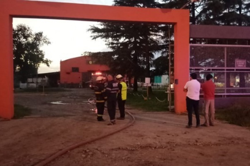 Crédito: Gentileza.