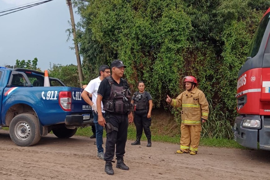 Crédito: Gentileza.