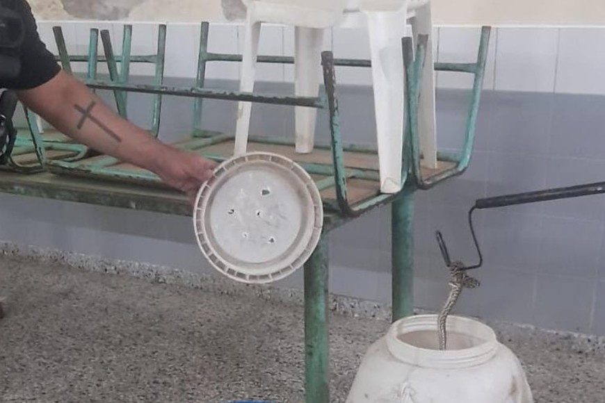 Siguiendo los protocolos establecidos, se acordó liberar al reptil en un área de bañados, ubicada a lo largo de la ruta nacional 168.