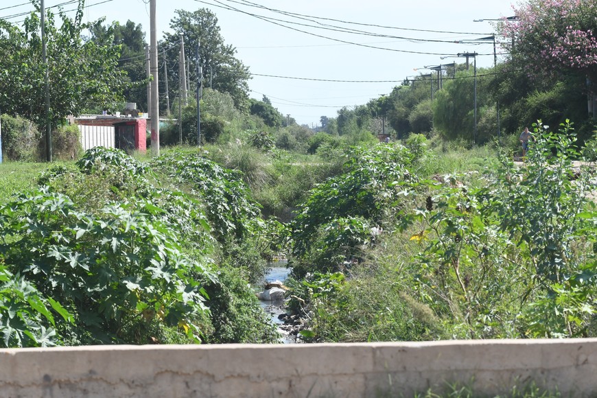 Entre los reclamos al municipio, en Las Lomas refieren trabajos de desmalezado en el Camino Viejo a Esperanza que quedó sin entubar. Foto: Mauricio Garín.