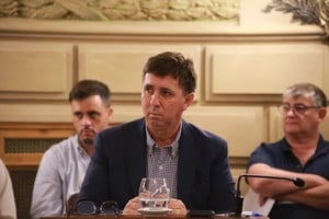 "Nuestra solidaridad y fraterno mensaje de profundo dolor por las muertes", expresó el presidente del bloque justicialista en la Cámara alta santafesina.