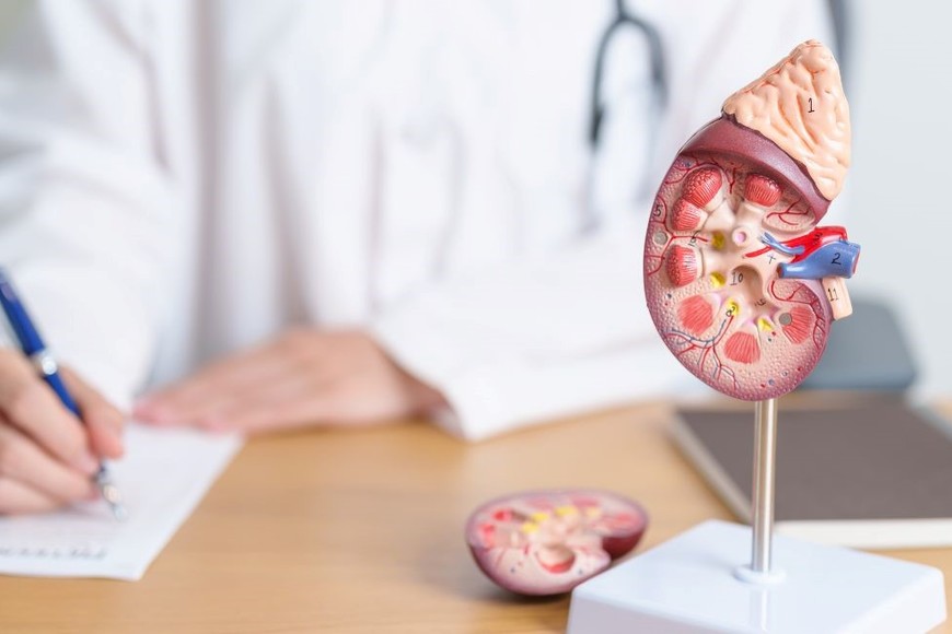 La detección temprana es clave para mitigar el impacto de estas enfermedades.