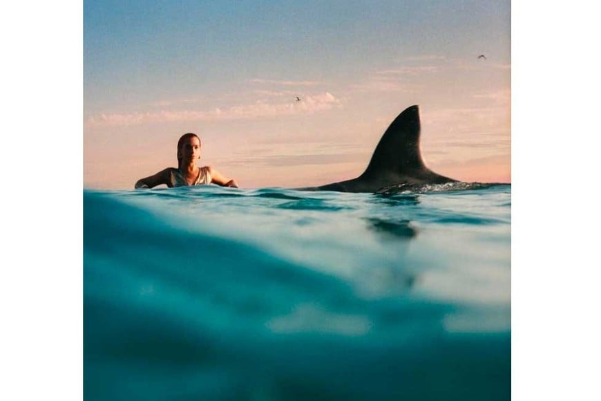 La tapa del nuevo trabajo de la artista londinense.