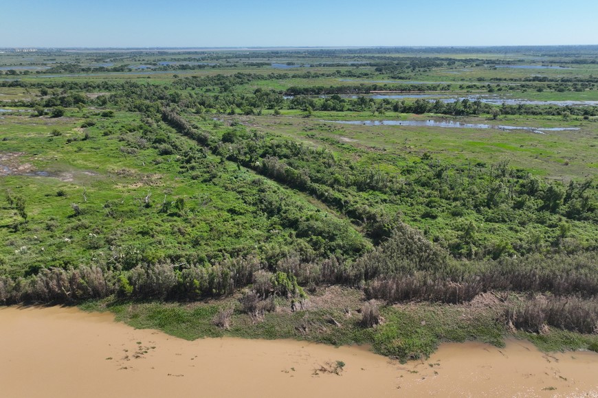 Silueta. En la isla se dibuja el riacho seco. Fernando Nicola.