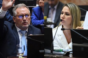 Duro cruce entre Marcelo Lewandoswki y Carolina Losada por la violencia en Rosario. Crédito: Prensa Senado