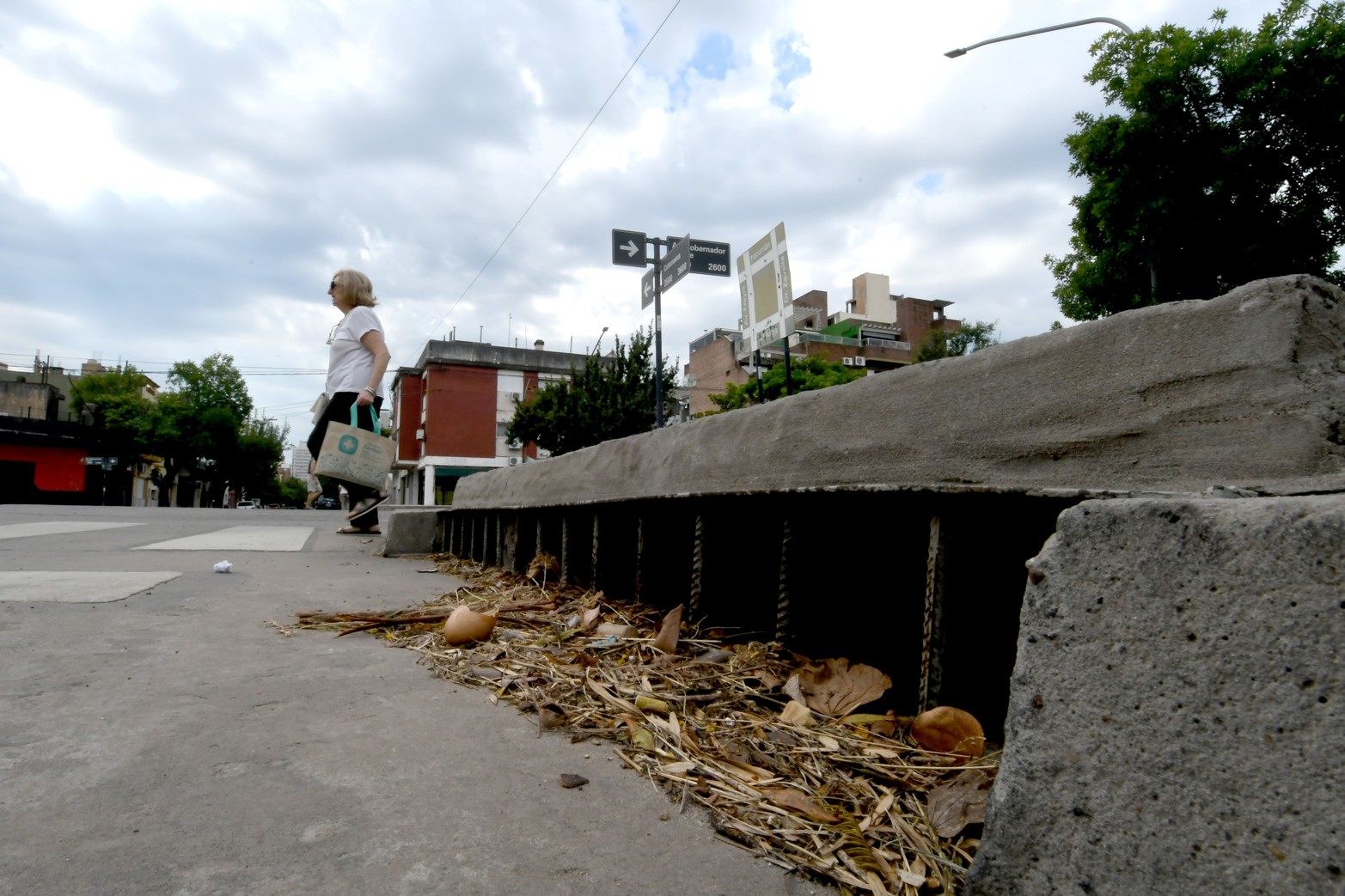 En la zona del retardador pluvial de Avenida Gdor Freyre y Catamarca las bocas de tormentas se encuentran con hojas y basura