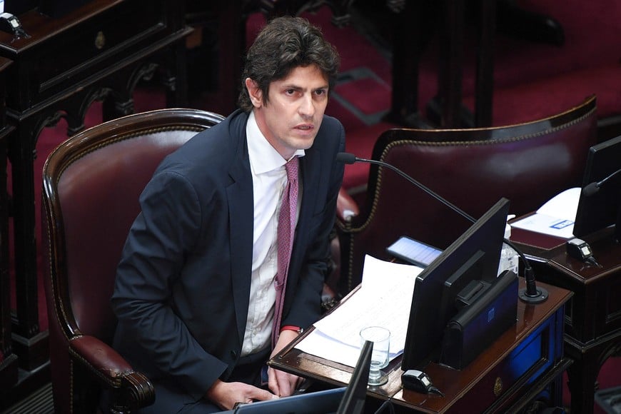 Martín Lousteau, senador nacional por CABA y presidente de la Unión Cívica Radical.