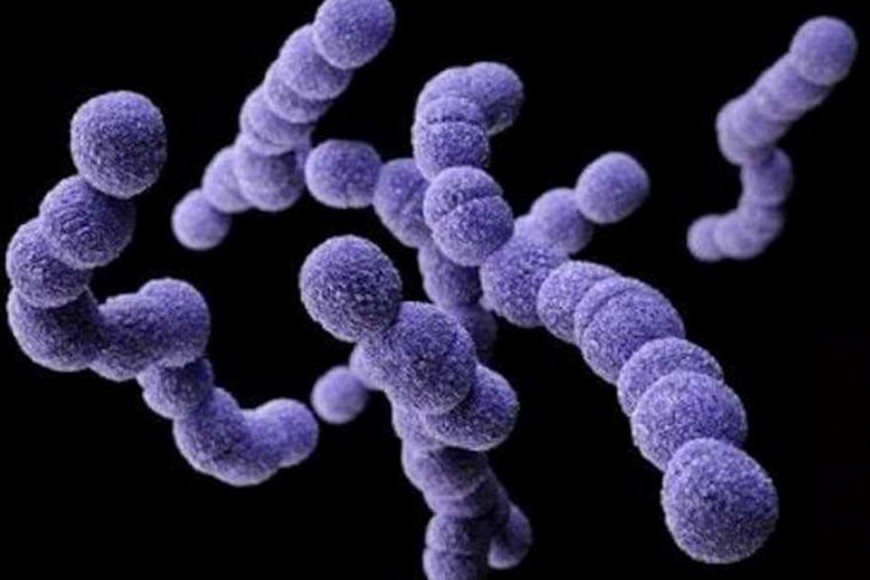 El Ministerio de Sanidad de Japón intensificó sus esfuerzos de vigilancia.