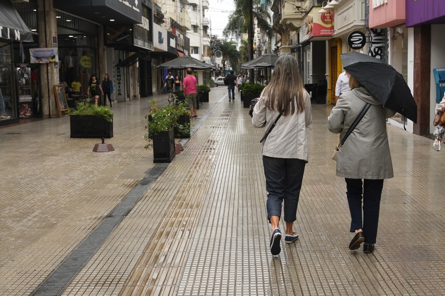 Imagen ilustrativa. Crédito: Guillermo Di Salvatore