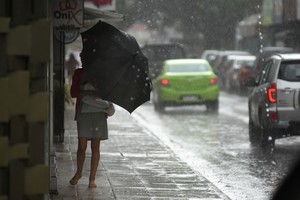 Imagen ilustrativa. Crédito: Guillermo Di Salvatore