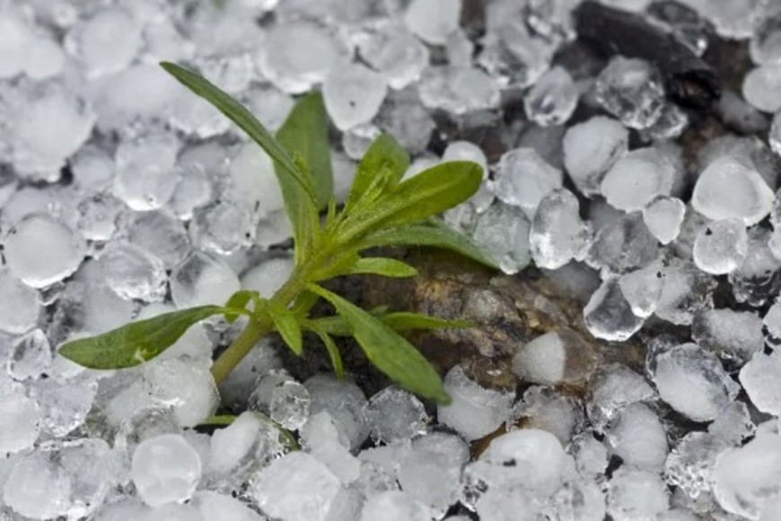 Granizo en 9 de Julio.