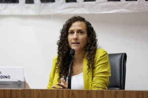 La concejala socialista Laura Mondino es la autora del proyecto.