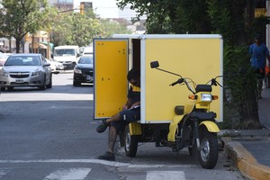 Instantánea. “Cartero revisa el recorrido”, por Flavio Raina