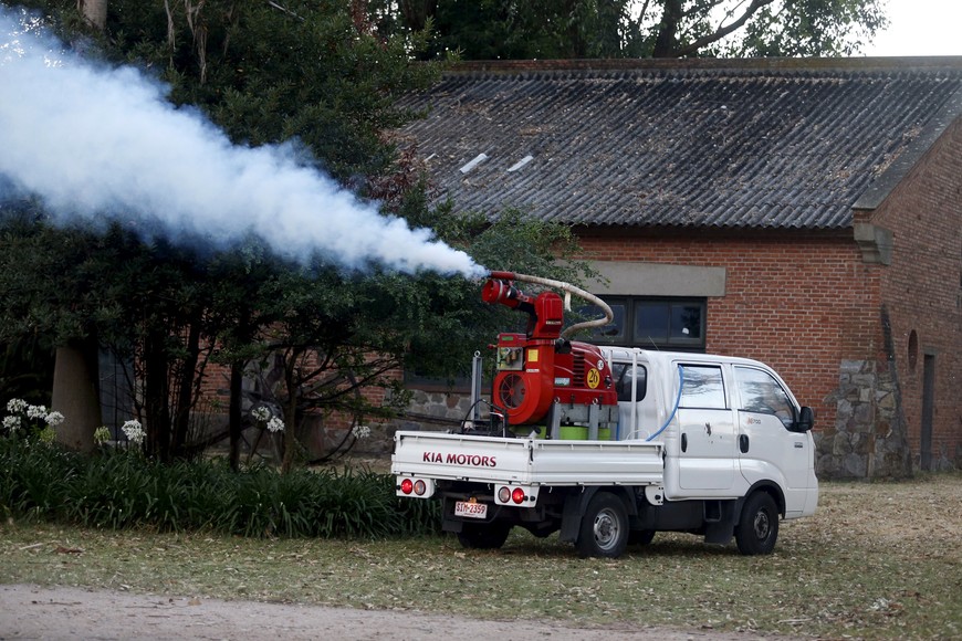 El Aedes Aegypti es el mosquito transmisor del virus del zika, dengue, chikungunya y la fiebre amarilla
laboratorio investigacion analisis Municipal workers fumigate public areas against the aedes aegypti mosquito, the vector of the Zika virus, in Montevideo, Uruguay February 3, 2016.   REUTERS/Andres Stapff  montevideo uruguay  trabajadores fumigacion prevencion control de epidemia fumigacion virus zica Aedes Aegypti es el mosquito transmisor del virus del zika, dengue, chikungunya y la fiebre amarilla