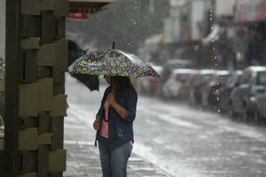 Imagen ilustrativa. Crédito: Guillermo Di Salvatore