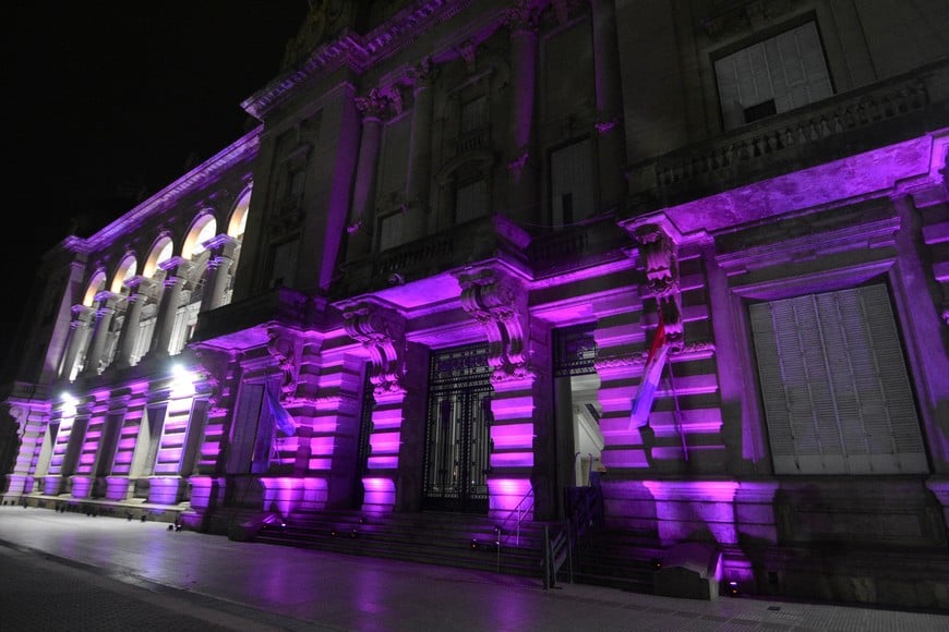 Argentina se tiñe de violeta este 26 de marzo en conmemoración del Purple Day. Créditos: Pablo Aguirre