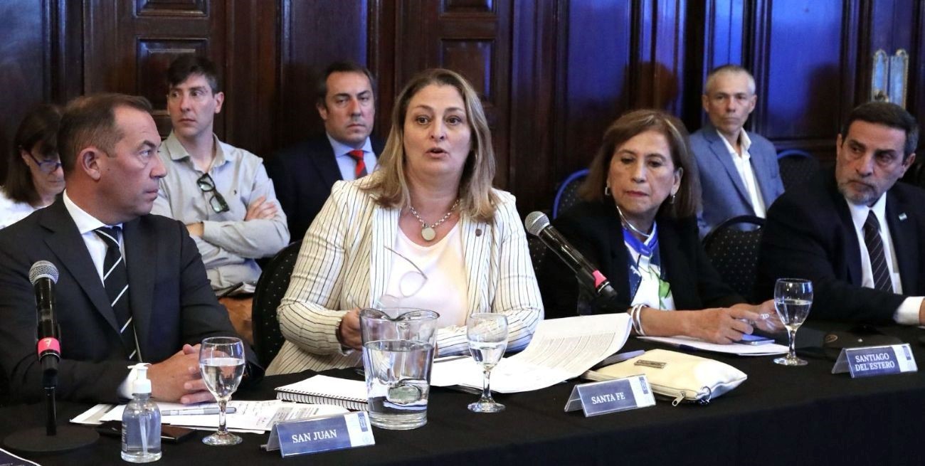 Primer Consejo Federal de Salud: Silvia Ciancio destacó los resultados