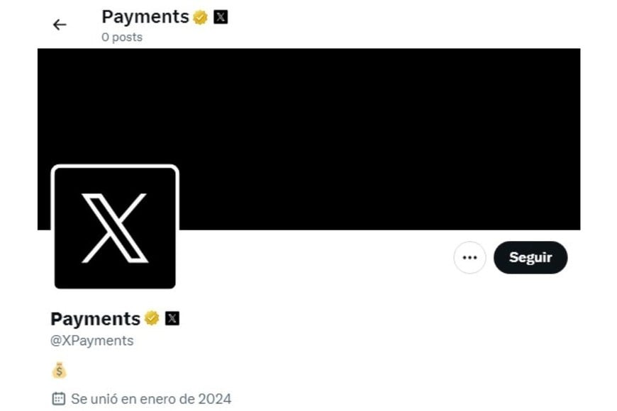 La cuenta oficial de X Payments en X.