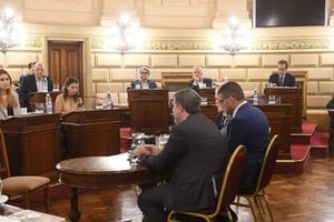 Edery frente a los legisladores. Foto: Flavio Raina