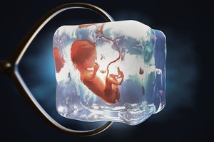 Los embriones congelados deben ser considerados "niños".