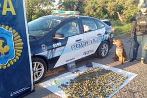 El perro Zeus, especialmente entrenado, fue quien detectó la presencia de los cogollos dentro del vehículo.