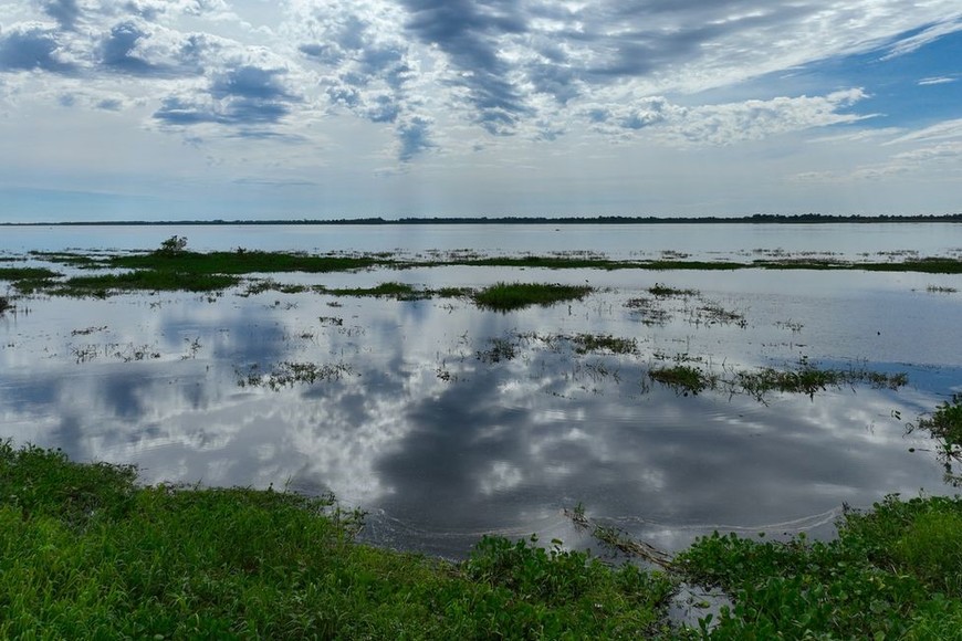 Foto: Fernando Nicola